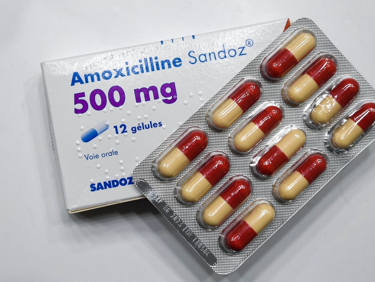 Amoxicilline zydus france 500mg