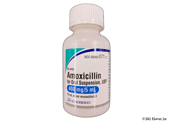 Amoxil de 500 mg susp 75 ml