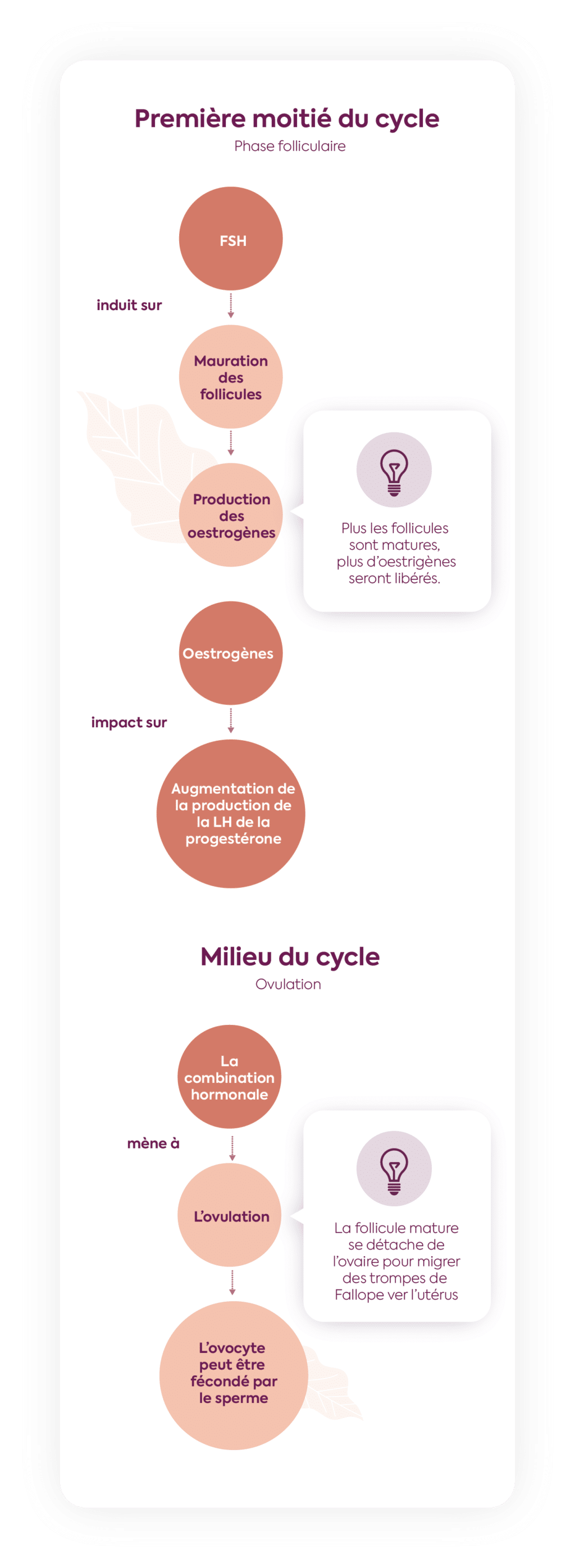 clomiphene france