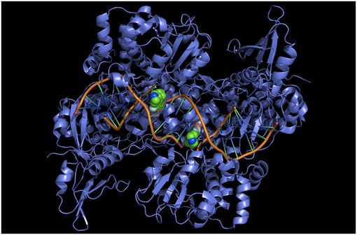 Ciprofloxacin 250mg Spc