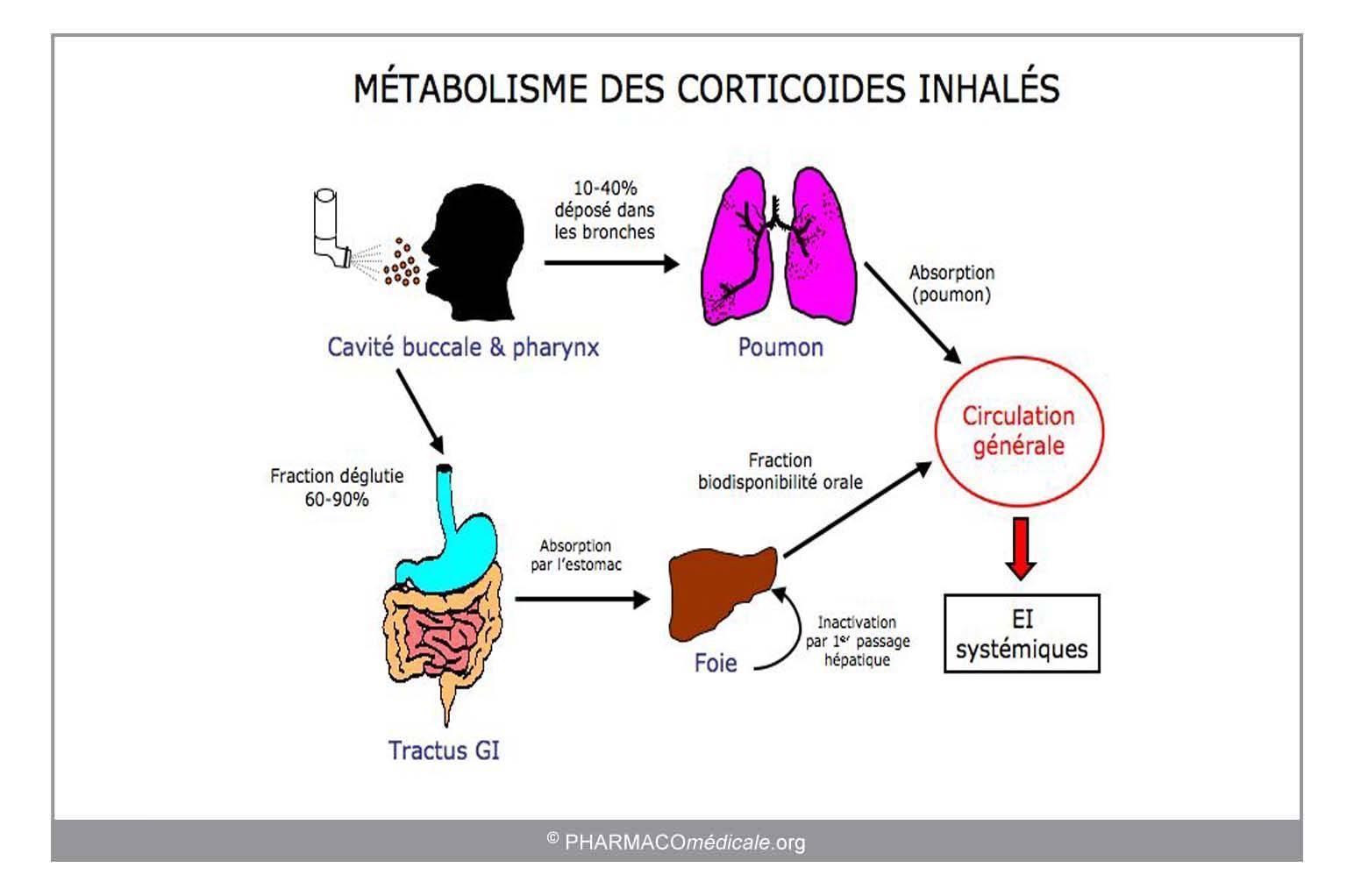 Prednisolone est le generique de quel medicament