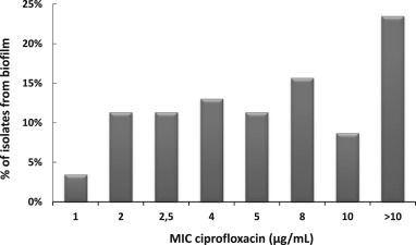 Ciprofloxacin orion 250 mg