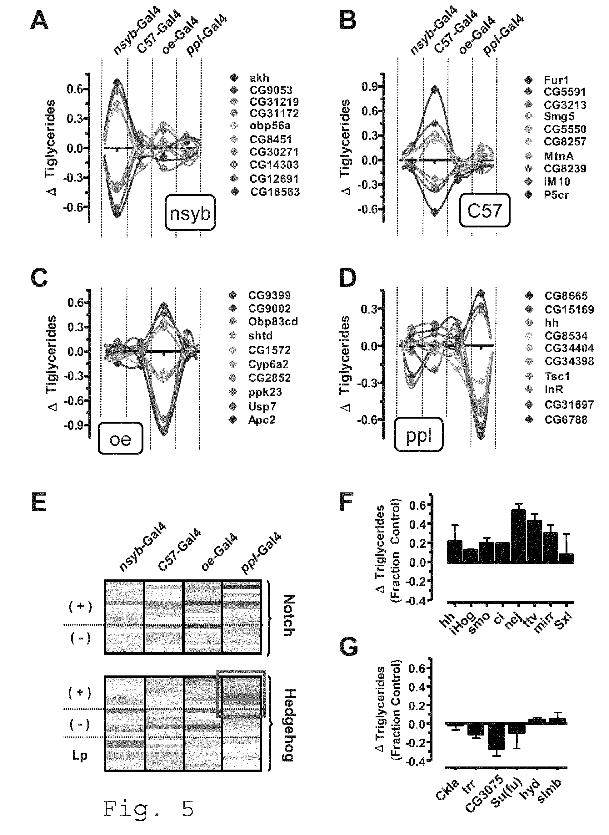 Propranolol 10 Mg Gpo