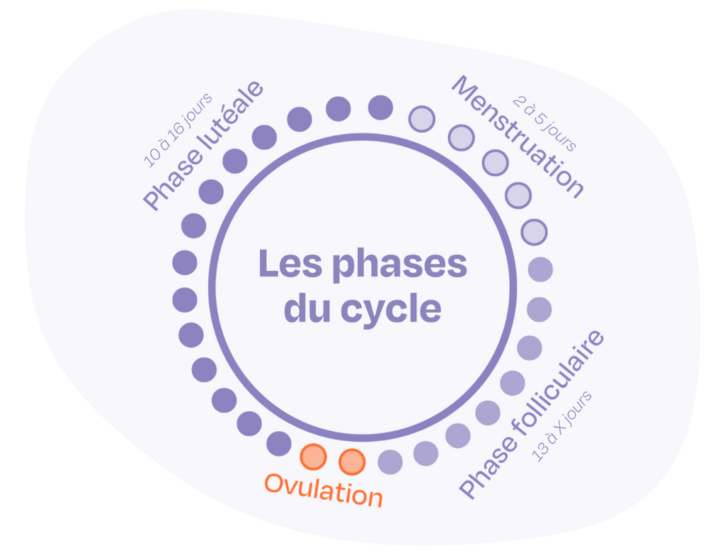 Ou Acheter Le Clomid