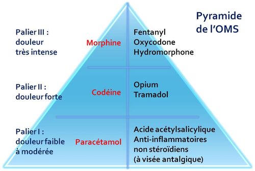 Générique du tramadol