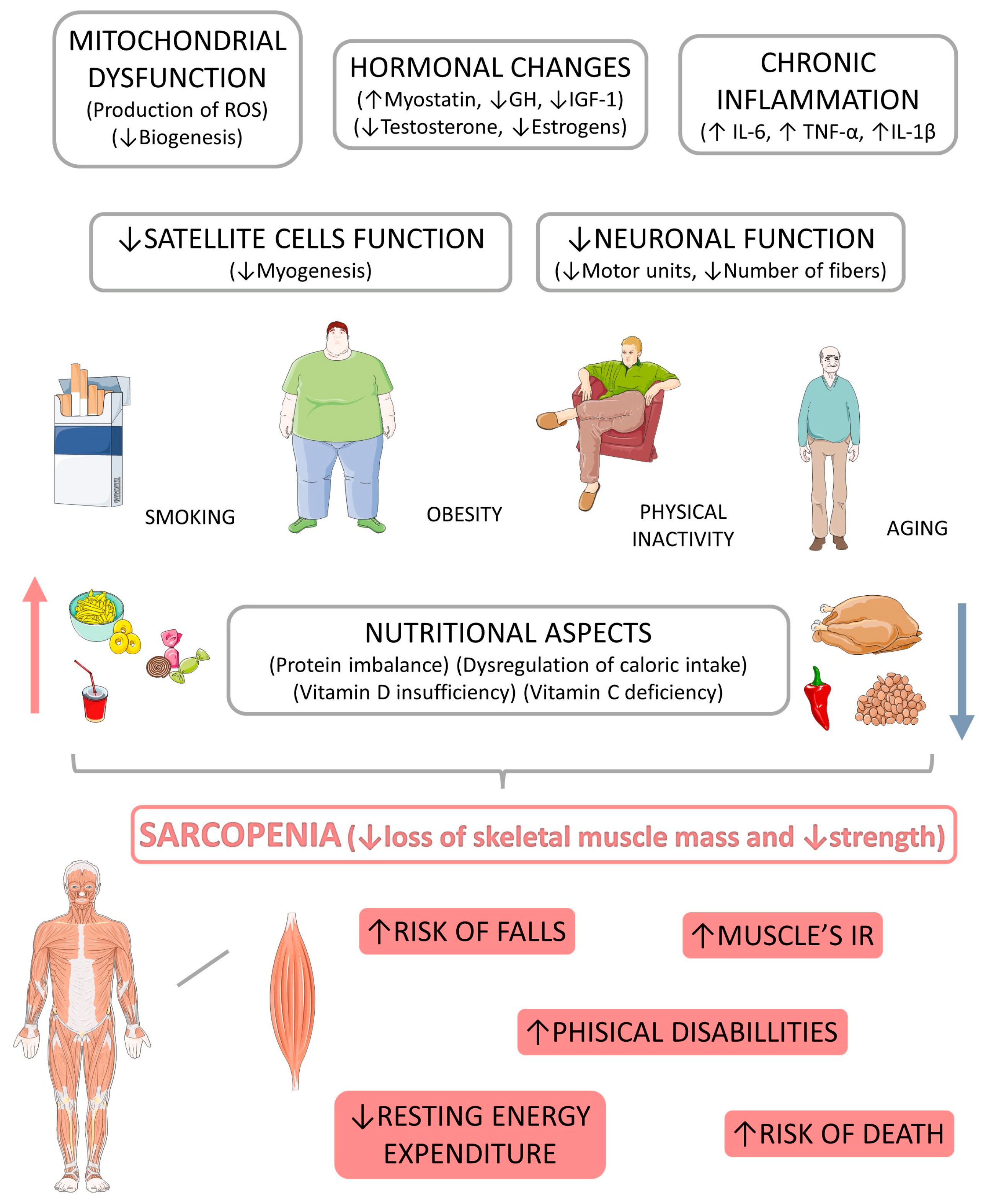 Metformin 1000mg online