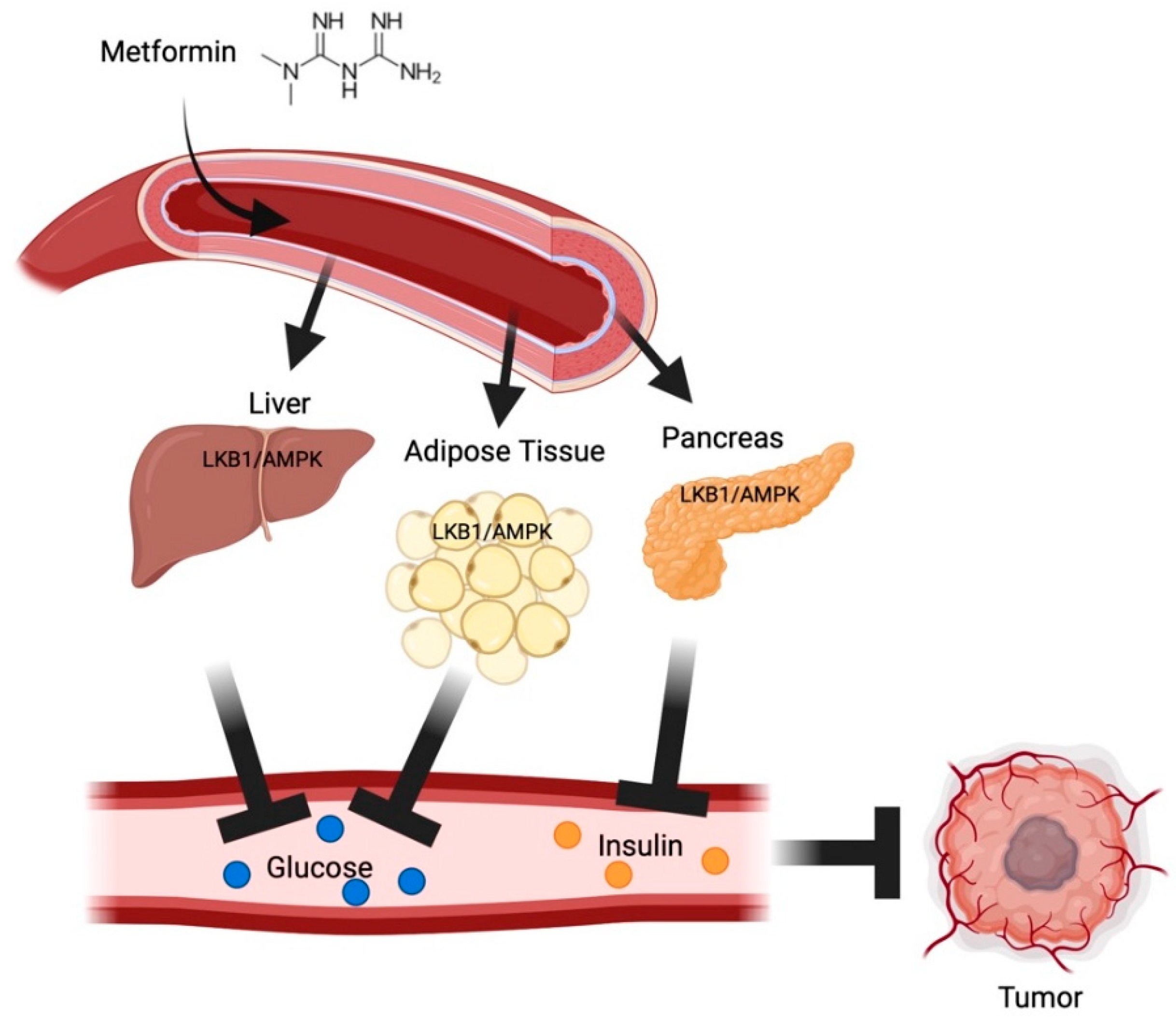 Metformin france