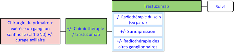 Ordre tamoxifène