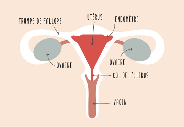 Peut on avoir clomid sans ordonnance