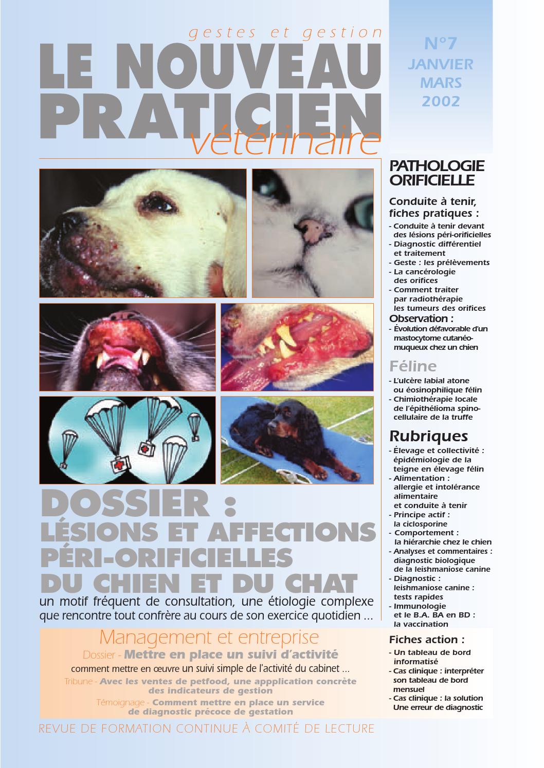 prednisolone chien prix