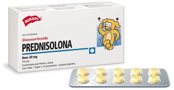 Prednisolone chien prix