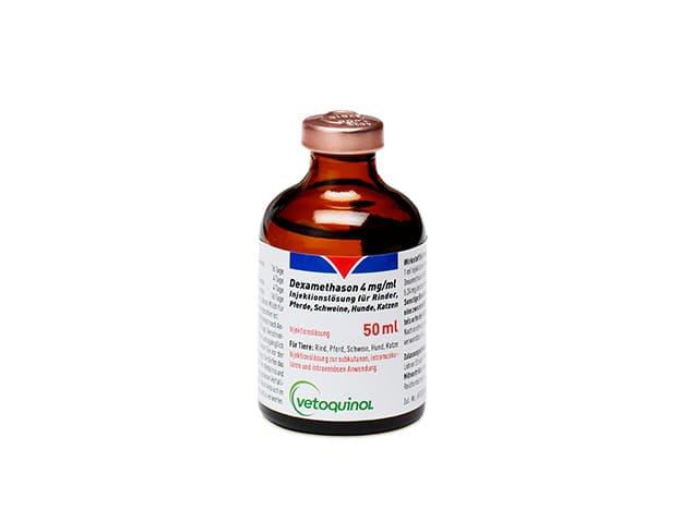 Prednisolone vet online