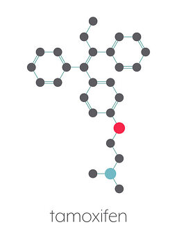 Tamoxifène En Ligne