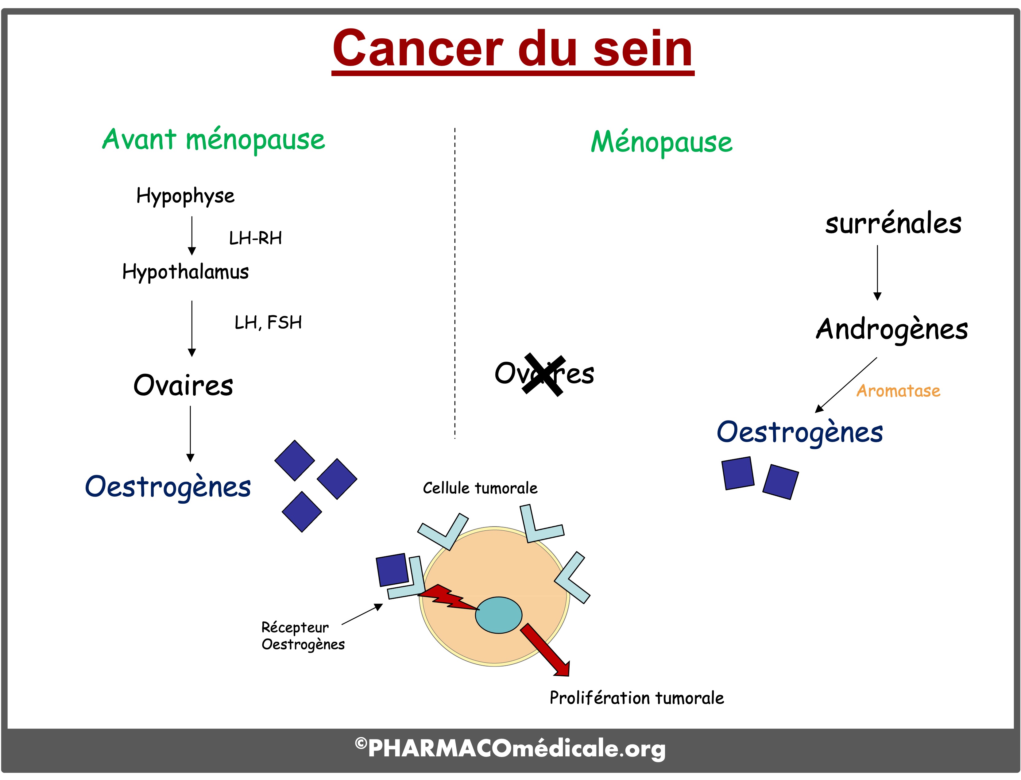 Tamoxifène générique